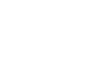 Nexus Foundation on White